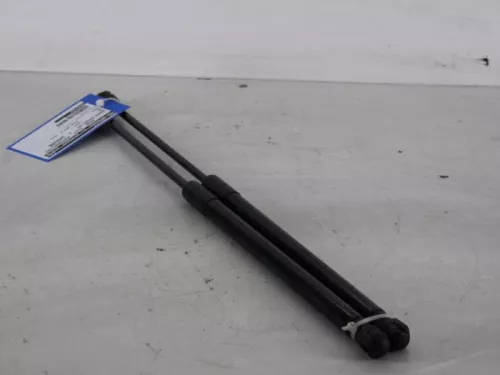 Set Gasdempers Achterklep-7887320