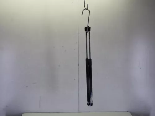 Set Gasdempers Achterklep-7882931 (9757322)