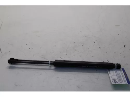 Set Gasdempers Achterklep-7619384
