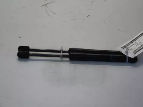 Set Gasdempers Achterklep- (11366099)