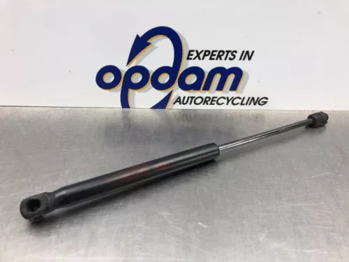 Set Gasdempers Achterklep-8176938 (21194877)