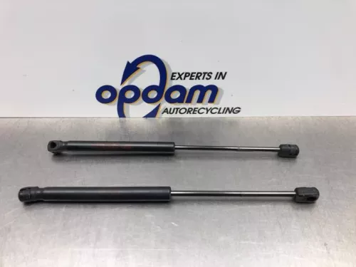 Set Gasdempers Achterklep-8176938 (21194877)