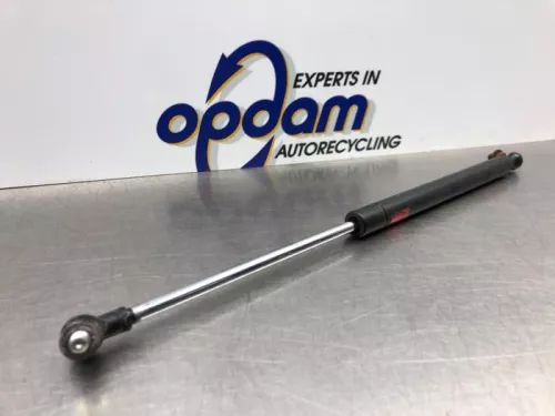 Set Gasdempers Achterklep-8177417 (20535043)