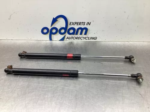 Set Gasdempers Achterklep-8077172 (19355982)