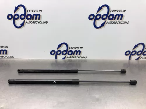 Set Gasdempers Achterklep-8211680 (21208300)