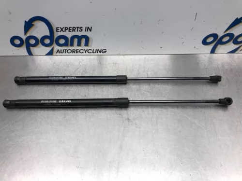 Set Gasdempers Achterklep-7618095 (16844202)