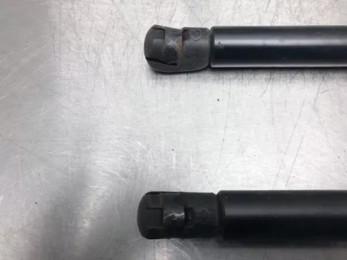 Set Gasdempers Achterklep-7618095 (16844202)