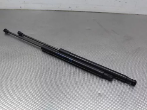 Set Gasdempers Achterklep-7872980 (11755765)