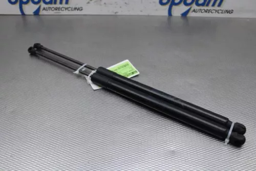Set Gasdempers Achterklep-6918849 (16227690)