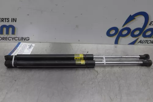Set Gasdempers Achterklep-6109423 (15430876)