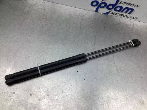 Set Gasdempers Achterklep-7616367 (17335067)