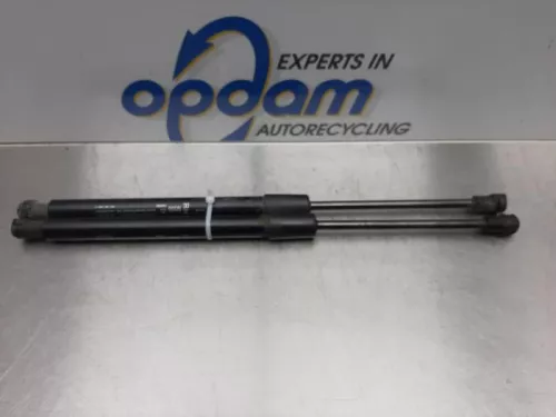 Set Gasdempers Achterklep-7612391