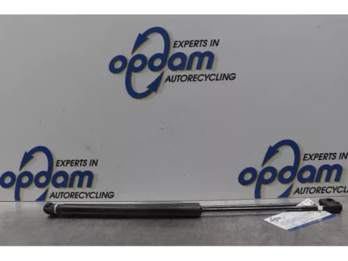 Set Gasdempers Achterklep-7716795 (14888138)