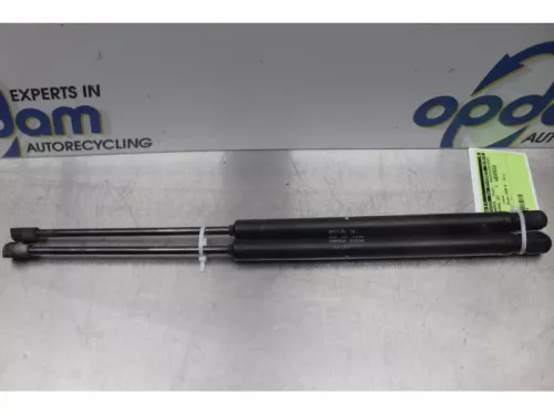 Set Gasdempers Achterklep-7613301