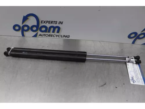 Set Gasdempers Achterklep-7878325 (14724636)