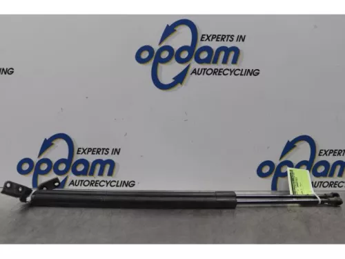 Set Gasdempers Achterklep-7730064 (14904245)