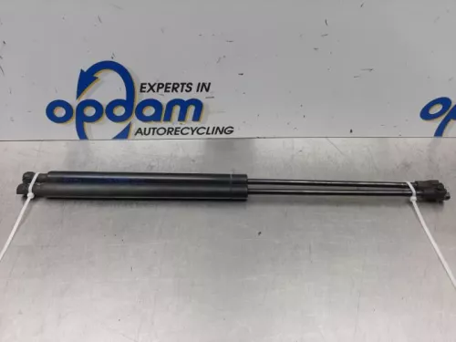 Set Gasdempers Achterklep-7544454