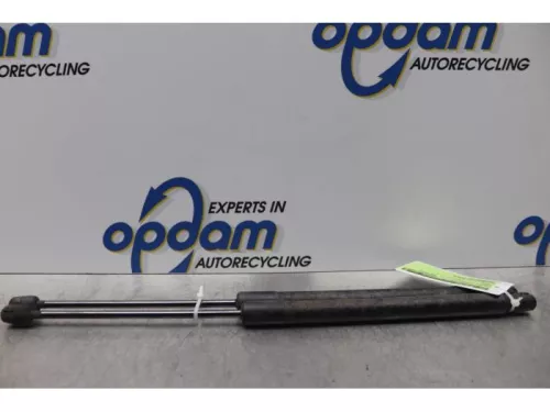 Set Gasdempers Achterklep-7877601