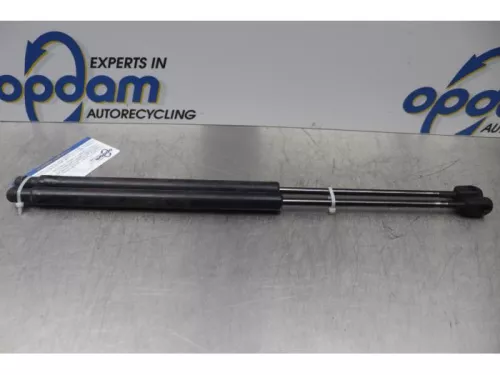 Set Gasdempers Achterklep-7877517