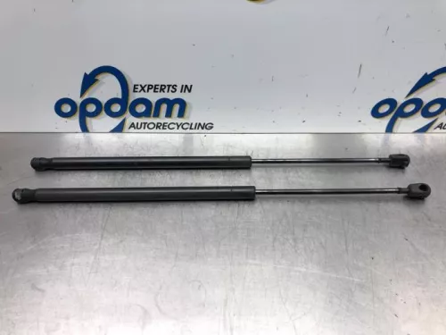 Set Gasdempers Achterklep-7183212