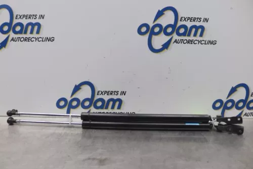 Set Gasdempers Achterklep-7877091