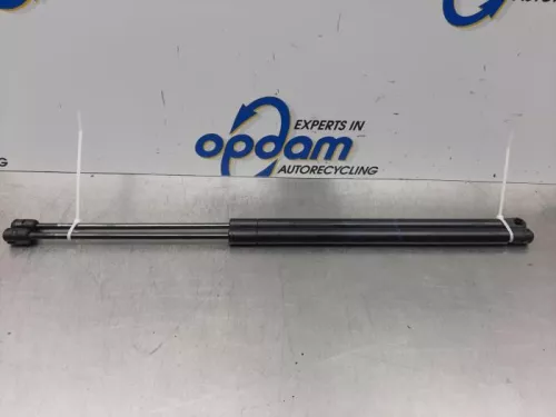 Set Gasdempers Achterklep-7876767