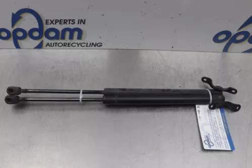 Set Gasdempers Achterklep-7876955