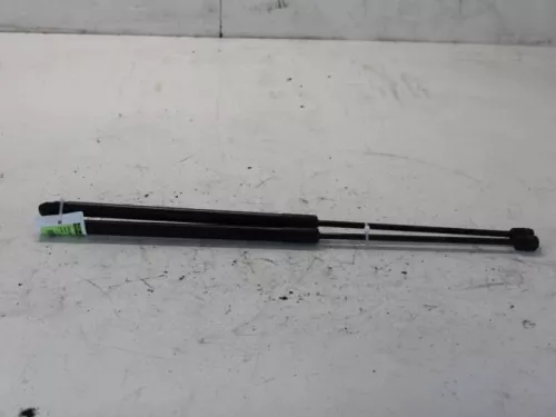 Set Gasdempers Achterklep-7879060