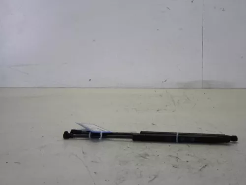 Set Gasdempers Achterklep-7766961