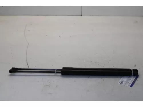 Set Gasdempers Achterklep-7589902 (13050943)