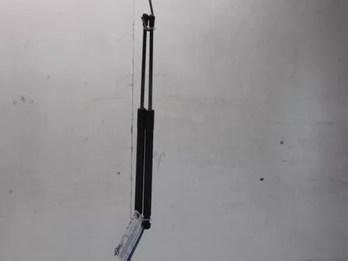Set Gasdempers Achterklep-7878973 (12831754)
