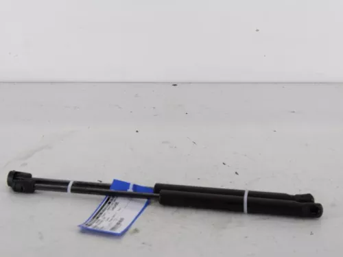 Set Gasdempers Achterklep-7619876 (5101415)