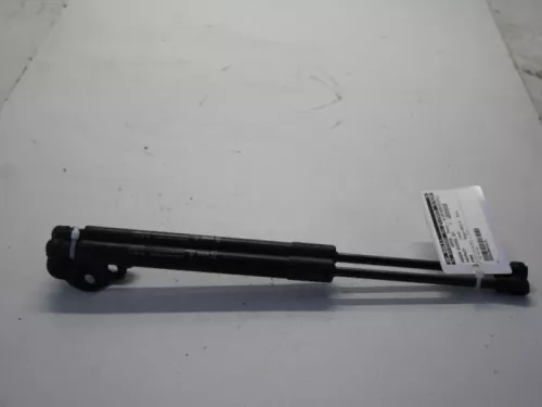 Set Gasdempers Achterklep-7881399 (11207724)