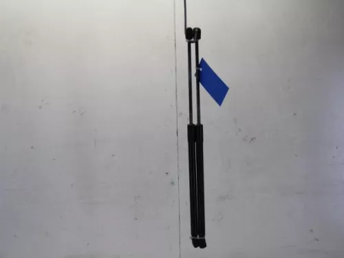 Set Gasdempers Achterklep-7882196