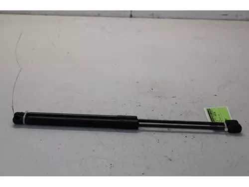 Set Gasdempers Achterklep-7716785 (12898910)