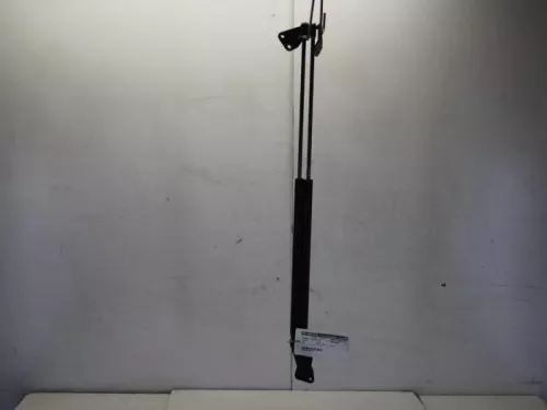 Set Gasdempers Achterklep-7880430