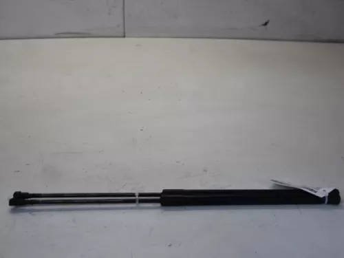 Set Gasdempers Achterklep-7714606 (11753766)