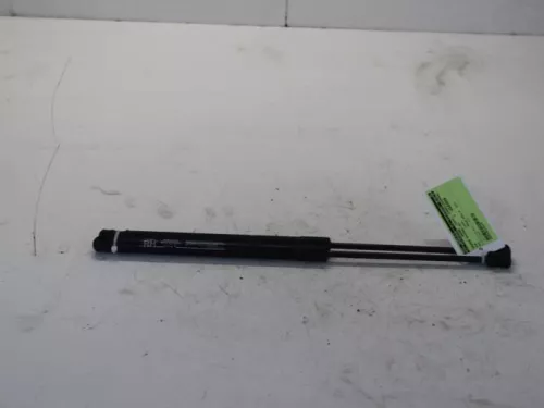 Set Gasdempers Achterklep-7716540 (12782013)