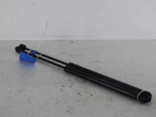 Set Gasdempers Achterklep-7846313 (6136790)