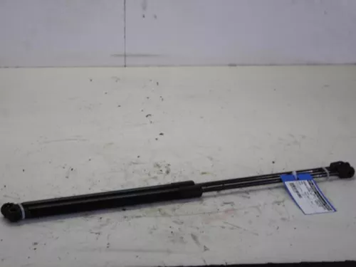 Set Gasdempers Achterklep-7882715 (10164749)
