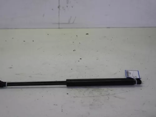 Set Gasdempers Achterklep-7883084