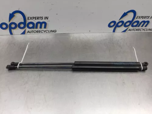Set Gasdempers Achterklep-7619879