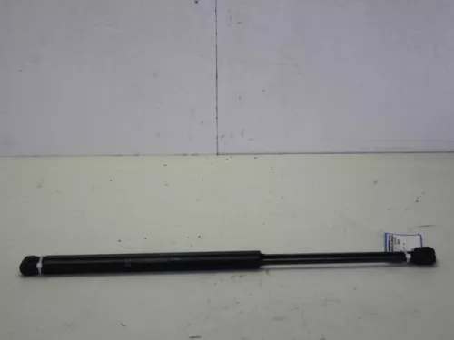 Set Gasdempers Achterklep-7885250 (9255889)