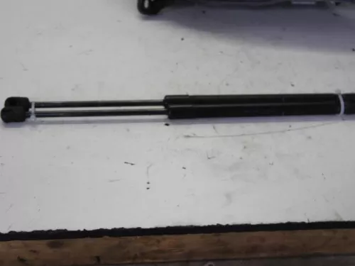 Set Gasdempers Achterklep-7882391 (10189948)