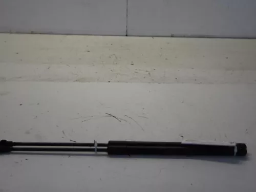 Set Gasdempers Achterklep-7881364 (11388247)