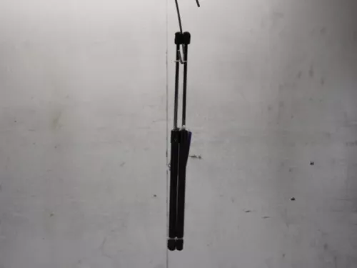 Set Gasdempers Achterklep-7881065 (12545476)