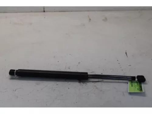 Set Gasdempers Achterklep-7878295 (13959525)