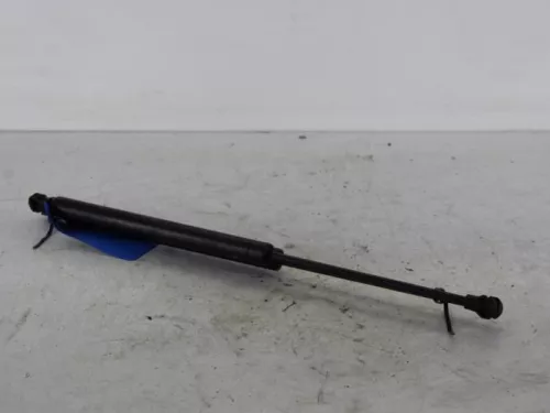 Set Gasdempers Achterklep-7894884 (6061541)