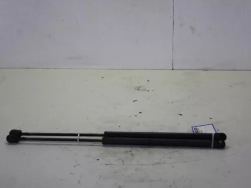 Set Gasdempers Achterklep-7882725 (10234735)