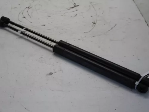 Set Gasdempers Achterklep-7880482 (11558195)